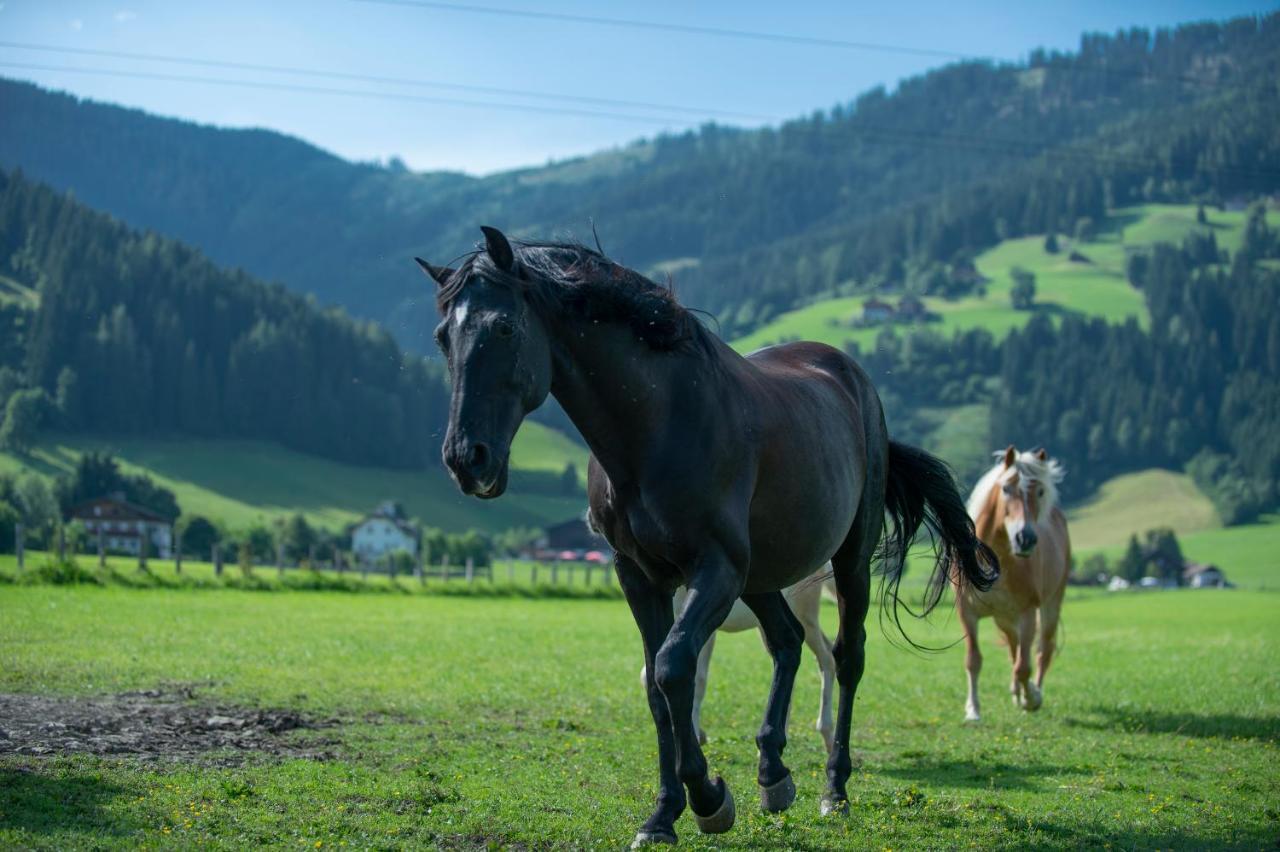 Ranstl Ferienwohnungen Flachau Zewnętrze zdjęcie